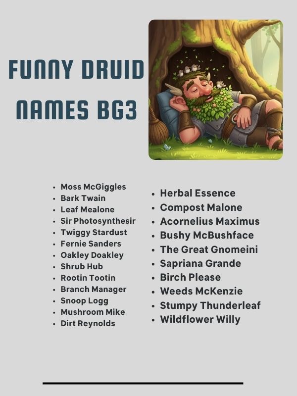 Funny Druid Names BG3