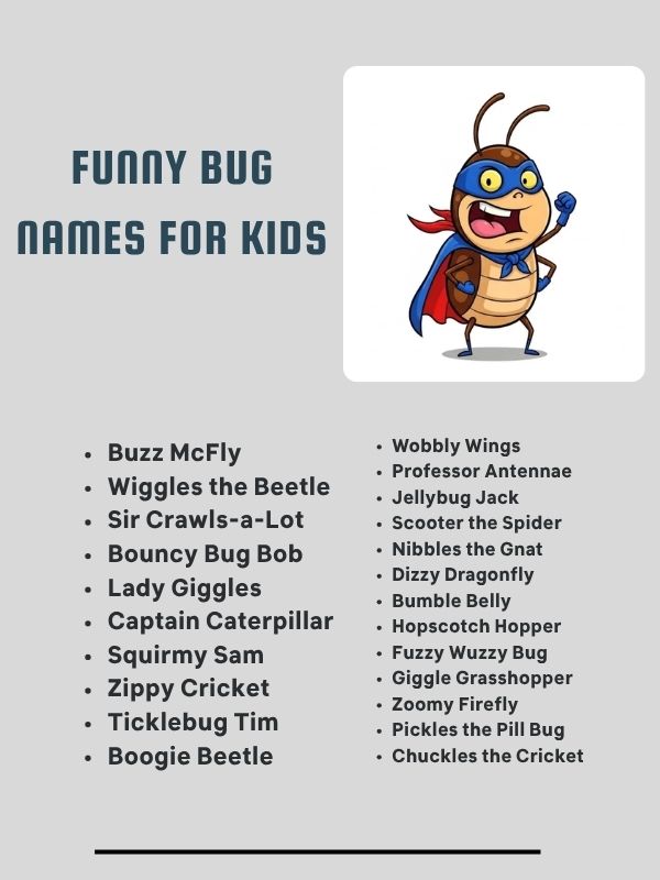 Funny Bug Names for Kids