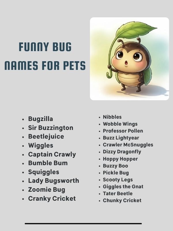Funny Bug Names for Pets