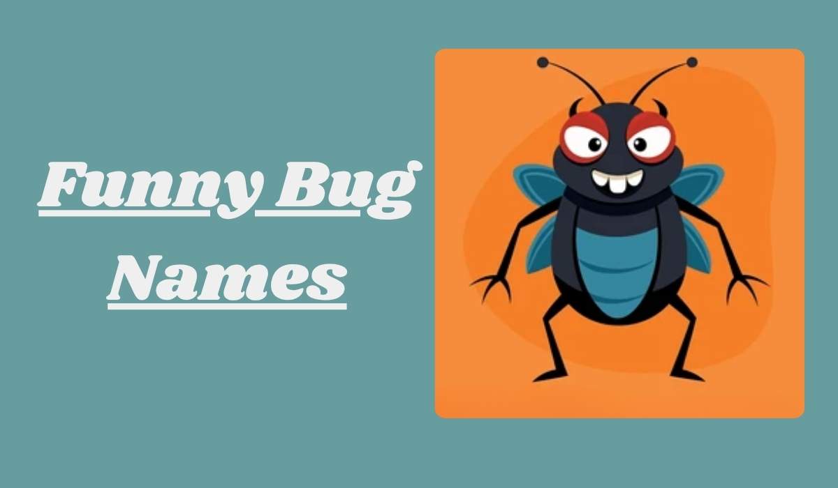 Funny Bug Names