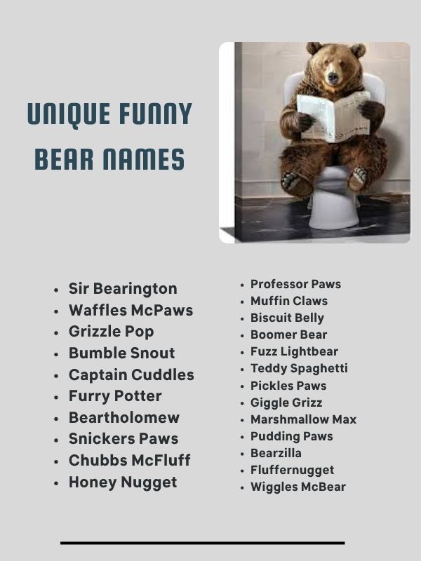 Unique Funny Bear Names
